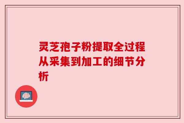 灵芝孢子粉提取全过程从采集到加工的细节分析 灵芝孢子粉提取全过程从采集到加工的细节分析