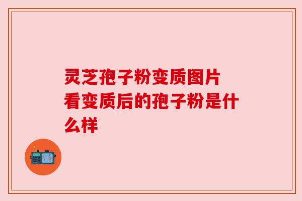 灵芝孢子粉变质图片 看变质后的孢子粉是什么样