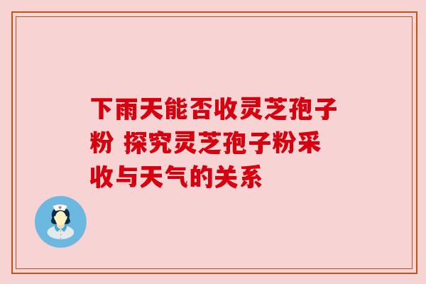 下雨天能否收灵芝孢子粉 探究灵芝孢子粉采收与天气的关系 下雨天能否收灵芝孢子粉 探究灵芝孢子粉采收与天气的关系