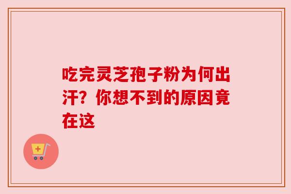 吃完灵芝孢子粉为何出汗?你想不到的原因竟在这 吃完灵芝孢子粉为何出汗?你想不到的原因竟在这