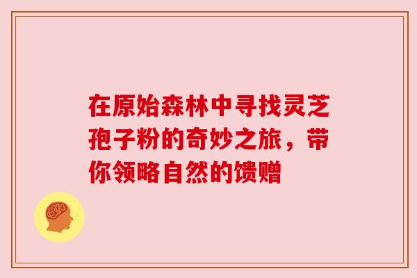 在原始森林中寻找灵芝孢子粉的奇妙之旅,带你领略自然的馈赠 在原始森林中寻找灵芝孢子粉的奇妙之旅,带你领略自然的馈赠