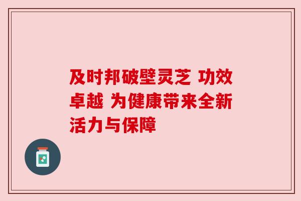 及时邦破壁灵芝 功效卓越 为健康带来全新活力与保障