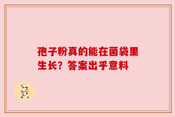 孢子粉真的能在菌袋里生长?答案出乎意料 孢子粉真的能在菌袋里生长?答案出乎意料