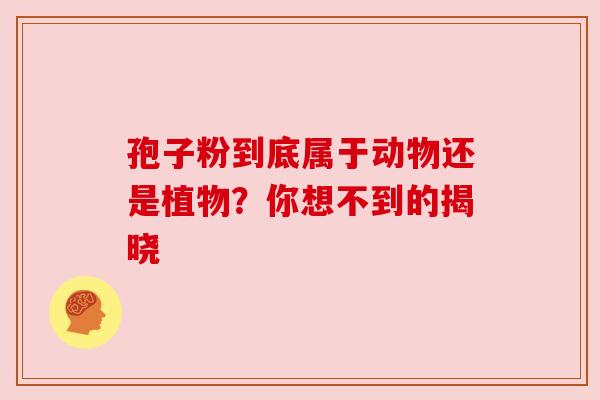 孢子粉到底属于动物还是植物?你想不到的揭晓 孢子粉到底属于动物还是植物?你想不到的揭晓