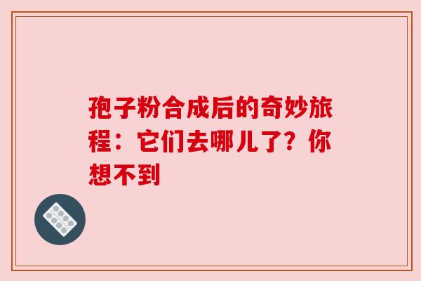 孢子粉合成后的奇妙旅程:它们去哪儿了?你想不到 孢子粉合成后的奇妙旅程:它们去哪儿了?你想不到
