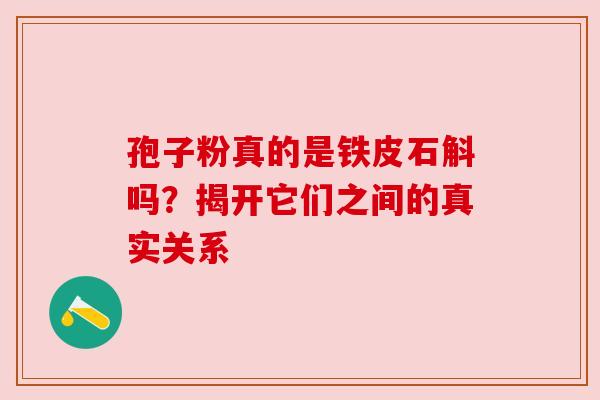 孢子粉真的是铁皮石斛吗?揭开它们之间的真实关系 孢子粉真的是铁皮石斛吗?揭开它们之间的真实关系