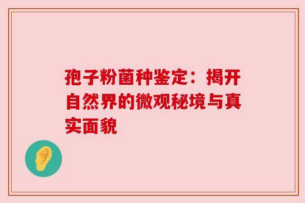 孢子粉菌种鉴定:揭开自然界的微观秘境与真实面貌 孢子粉菌种鉴定:揭开自然界的微观秘境与真实面貌