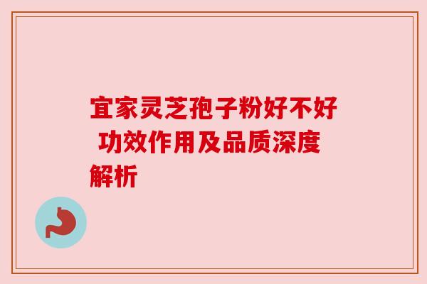 宜家灵芝孢子粉好不好 功效作用及品质深度解析