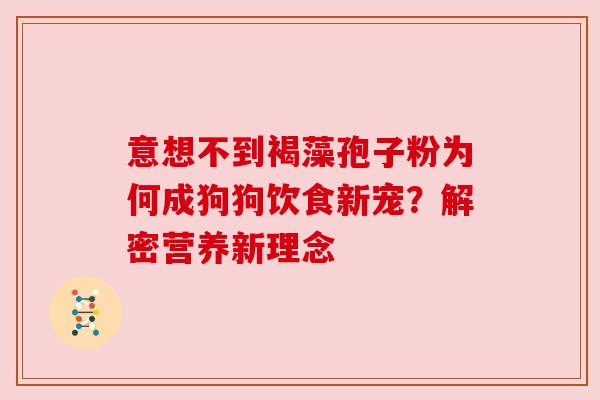意想不到褐藻孢子粉为何成狗狗饮食新宠？解密营养新理念