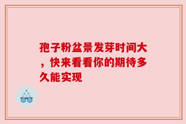 孢子粉盆景发芽时间大，快来看看你的期待多久能实现