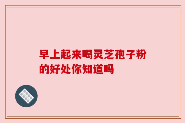 早上起来喝灵芝孢子粉的好处你知道吗