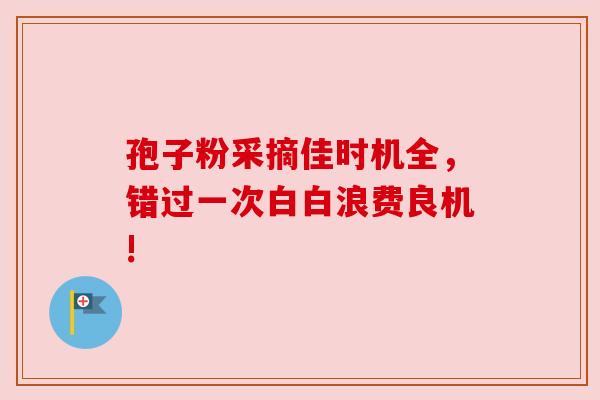 孢子粉采摘佳时机全，错过一次白白浪费良机!