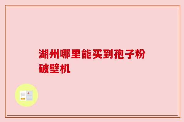 湖州哪里能买到孢子粉破壁机